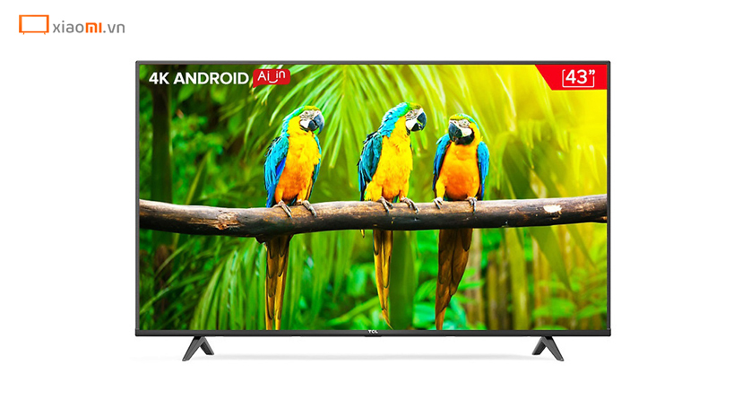 Android Tivi TCL 4K 43 inch 43T65.jpg